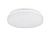 Светильник CL-BOUWER-MOTION-R250-13W (110 deg)