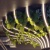 FANTOM-BENT-W49 1х1 046429.jpg