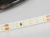 Лента RT 2-5000 2x (2835, 600 LED, PRO)