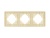 Рамка алюминиевая FRM-AKIRY-SFAL-3-GD Рамка алюминиевая FRM-AKIRY-SFAL-3-GD